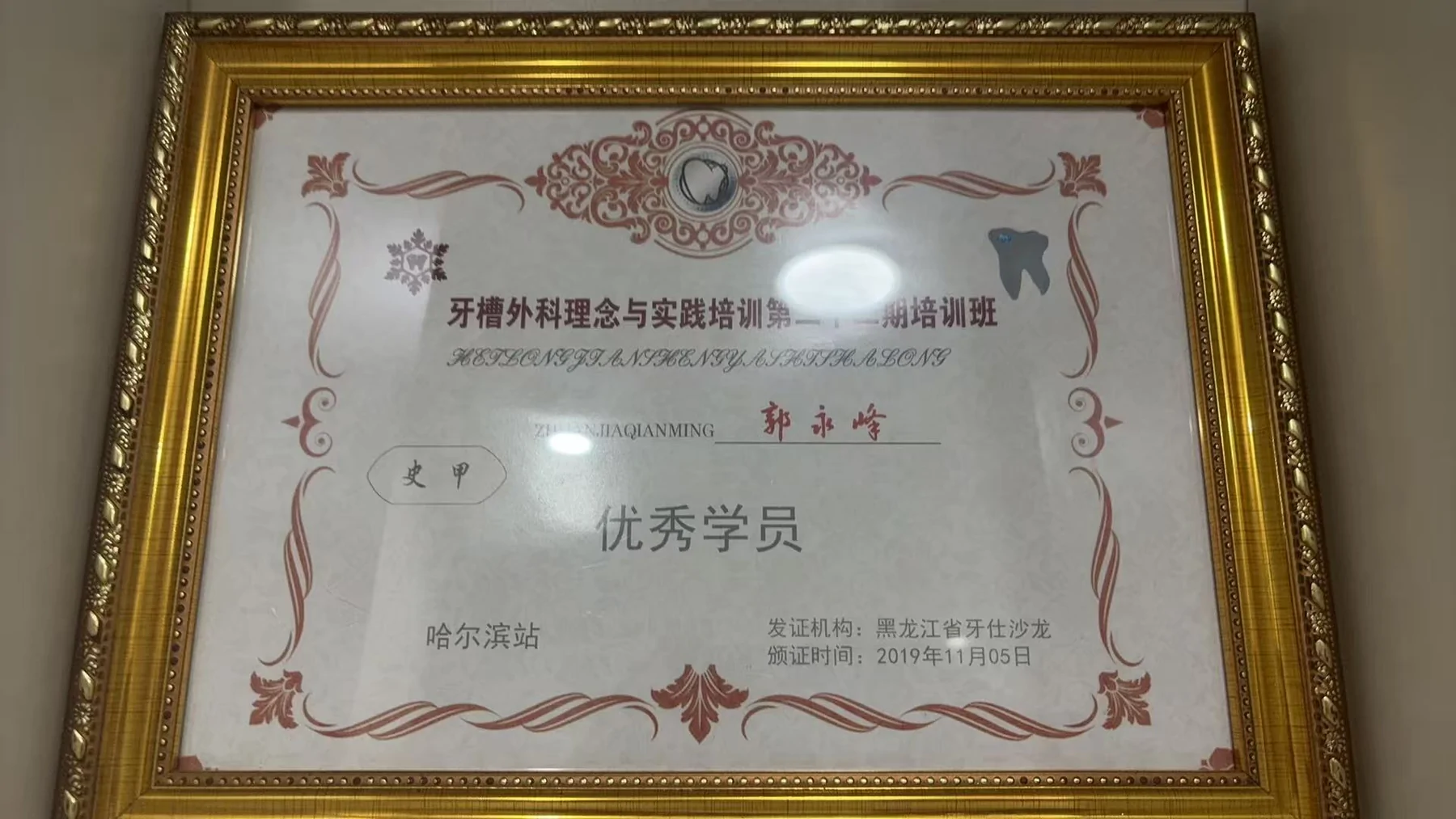 永健丽华口腔张丽华医生论文资料